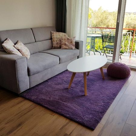 Apartman Luka Novigrad Istria Exterior foto